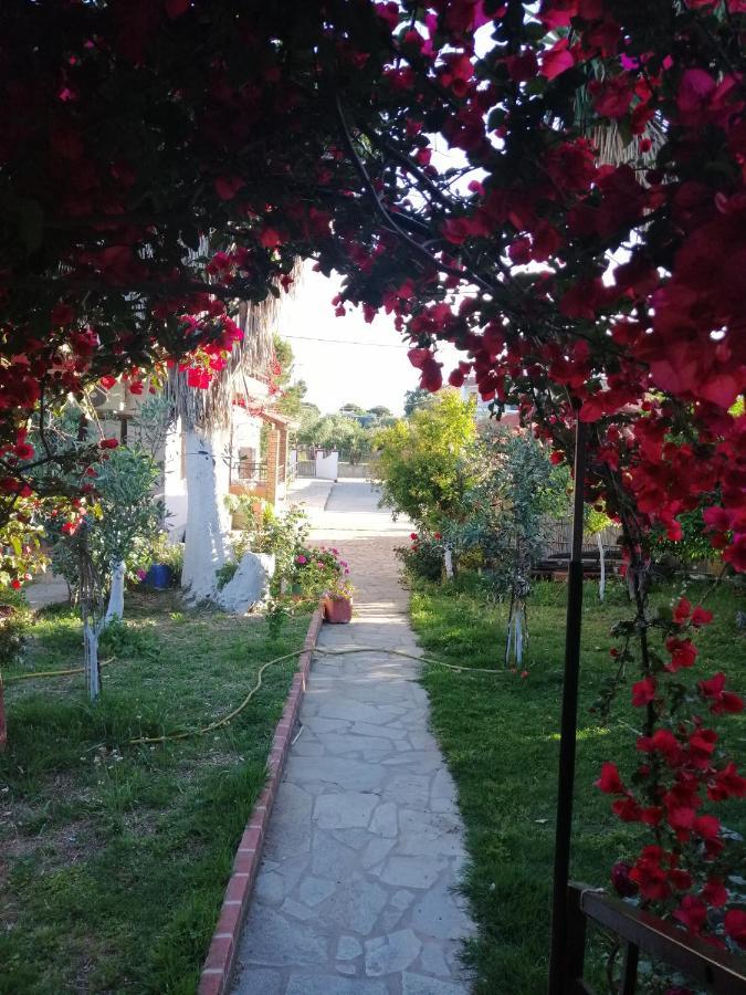 Armonia Studios Agios Georgios  Luaran gambar